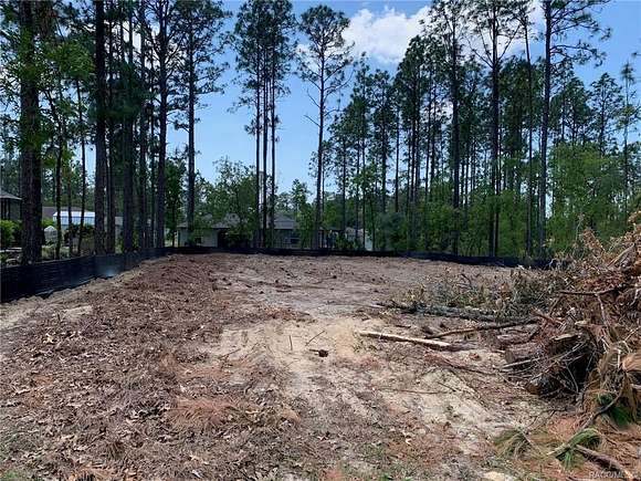 0.23 Acres of Residential Land with Home for Sale in Citrus Springs, Florida