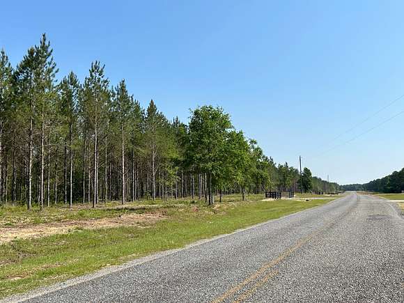 4.8 Acres of Land for Sale in Dexter, Georgia