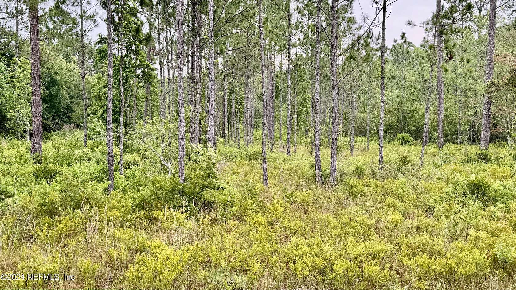 10 Acres of Land for Sale in Glen St. Mary, Florida