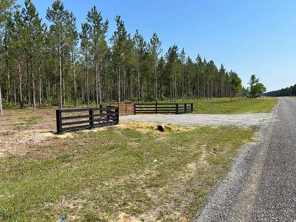 11.1 Acres of Recreational Land for Sale in Dexter, Georgia