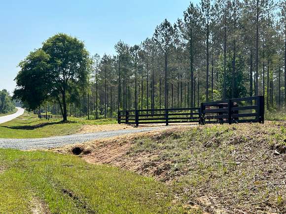 17.7 Acres of Recreational Land for Sale in Dexter, Georgia