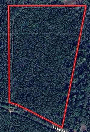 34.5 Acres of Recreational Land for Sale in Kentwood, Louisiana