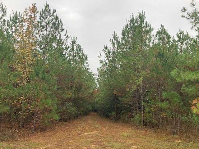 103 Acres of Land for Sale in Kentwood, Louisiana