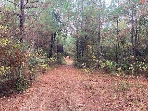 68.5 Acres of Recreational Land for Sale in Kentwood, Louisiana