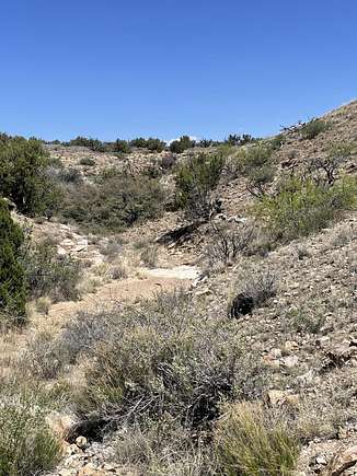 20.2 Acres of Land for Sale in Riley, New Mexico