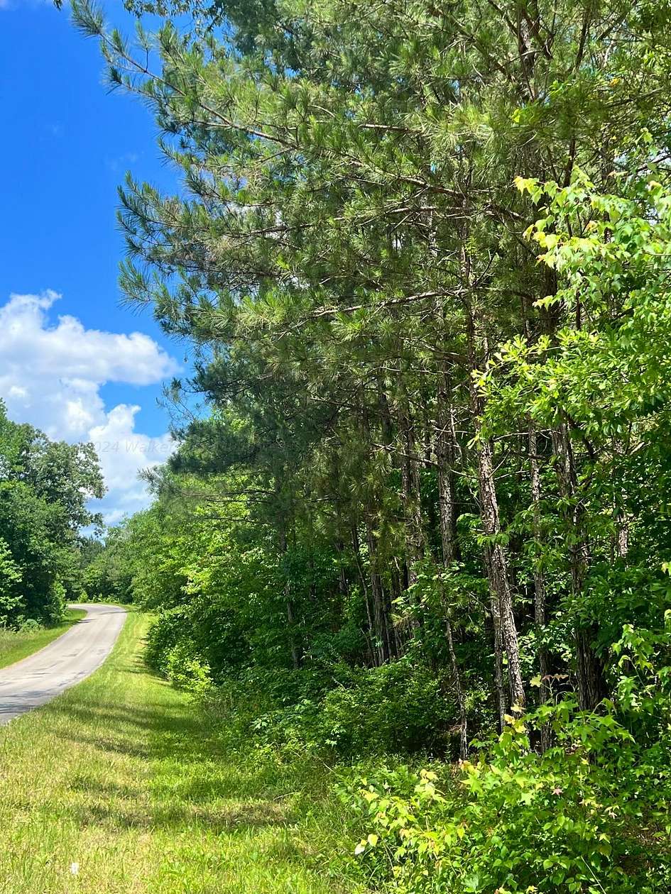 22 Acres of Land for Sale in Fayette, Alabama
