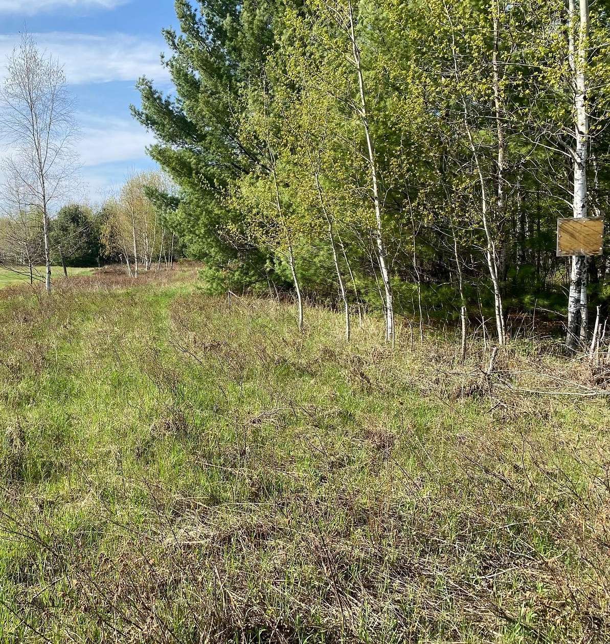 2.7 Acres of Residential Land for Sale in Three Lakes, Wisconsin