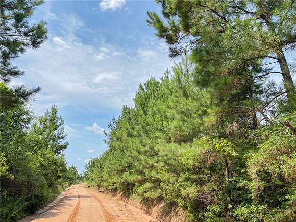303 Acres of Recreational Land for Sale in Leggett, Texas