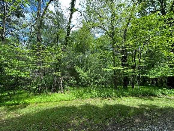 4 Acres of Land for Sale in Independence, Virginia