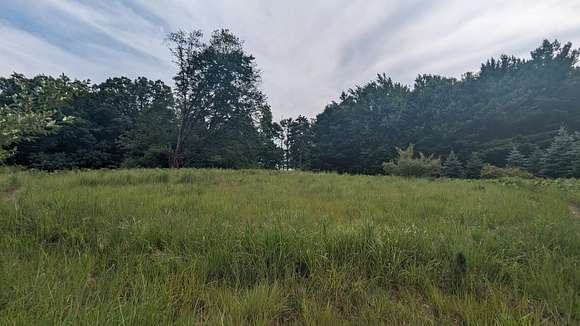 0.68 Acres of Land for Sale in Custer, Michigan