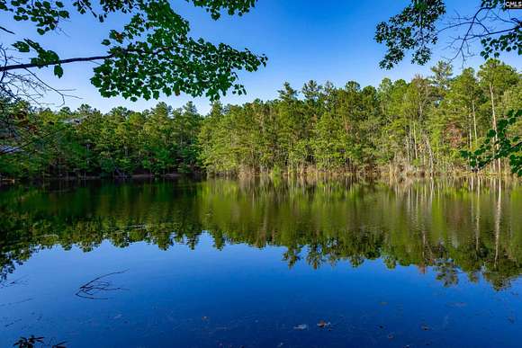 136 Acres of Recreational Land for Sale in Ridgeway, South Carolina