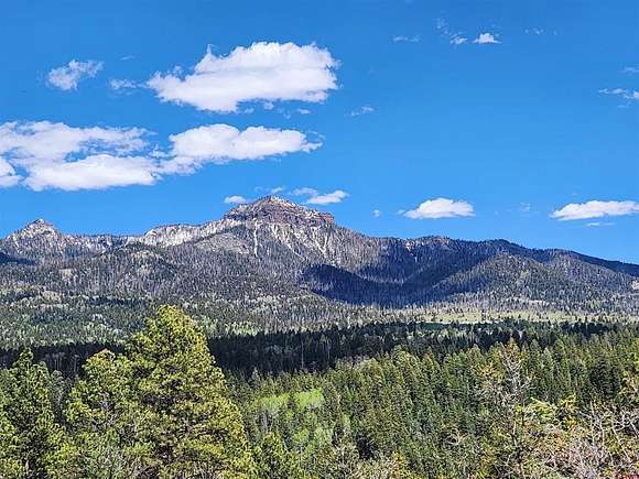 35.1 Acres of Agricultural Land for Sale in Pagosa Springs, Colorado