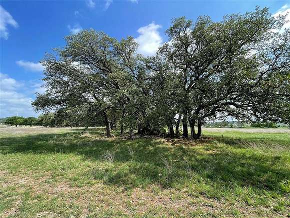 17.5 Acres of Land for Sale in Goldthwaite, Texas