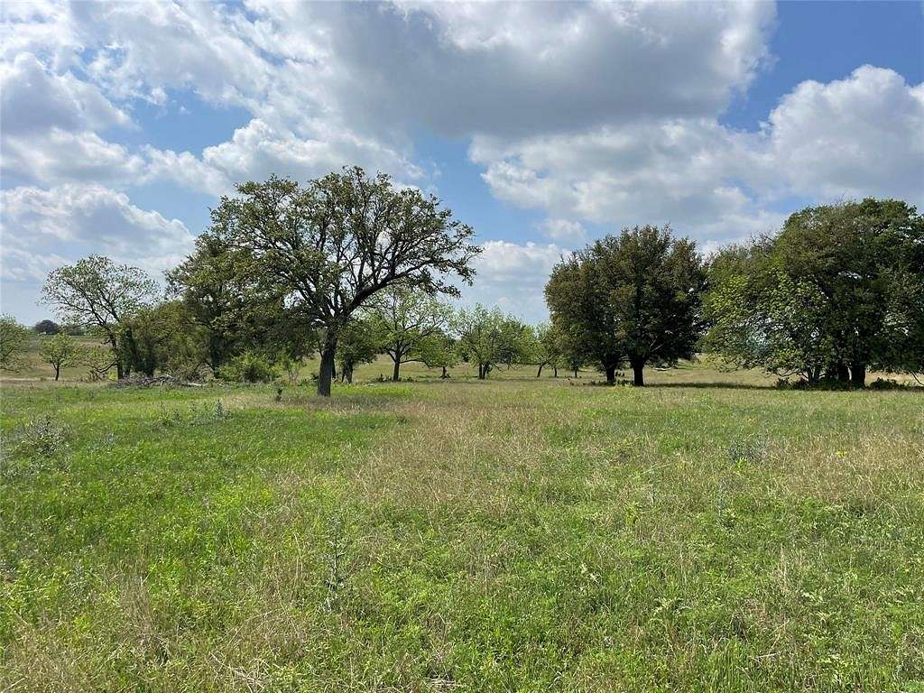 20 Acres of Agricultural Land for Sale in Goldthwaite, Texas