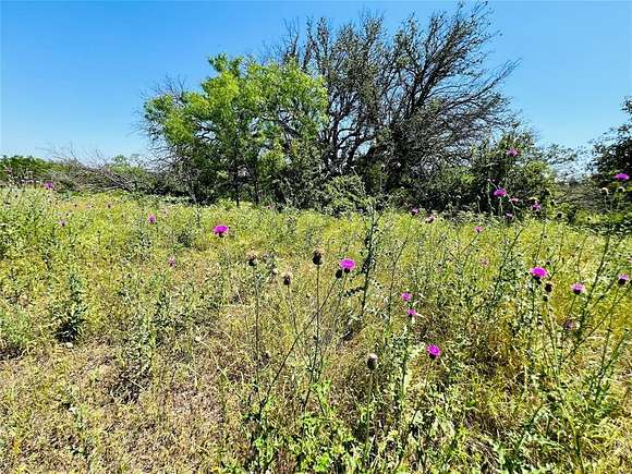 20 Acres of Land for Sale in Hamilton, Texas