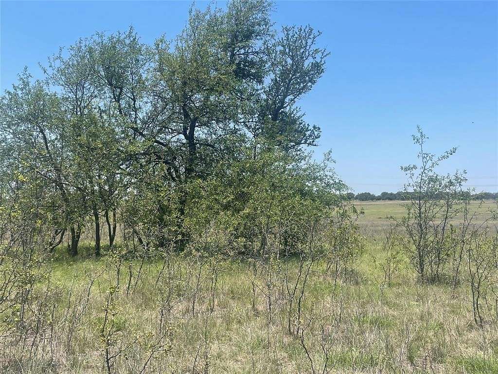 63.2 Acres of Agricultural Land for Sale in Goldthwaite, Texas