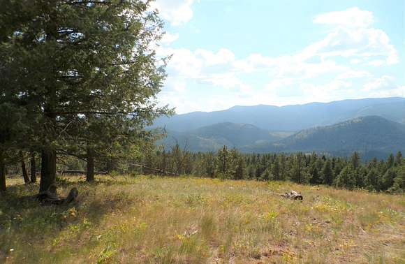 20 Acres of Recreational Land for Sale in Inchelium, Washington
