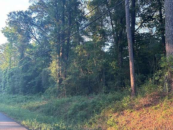 2.2 Acres of Residential Land for Sale in Carriere, Mississippi