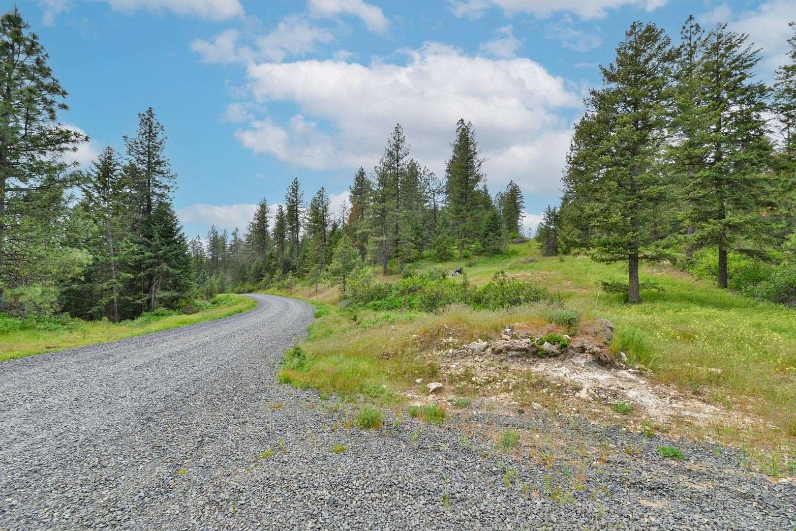 20.3 Acres of Recreational Land for Sale in Deer Park, Washington