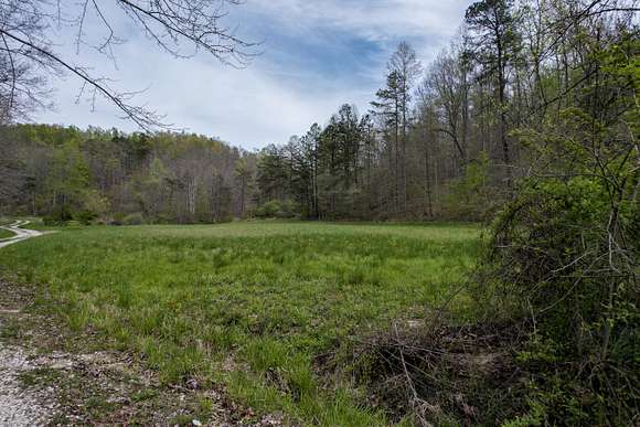 99.3 Acres of Agricultural Land for Sale in Salyersville, Kentucky