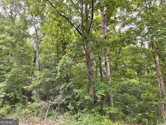 1 Acre of Residential Land for Sale in Eatonton, Georgia