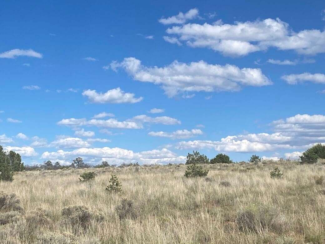 Residential Land for Sale in Pinehill, New Mexico