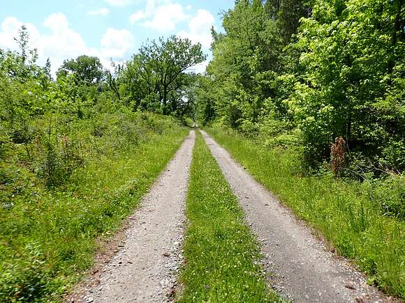 262 Acres of Land for Sale in Pine Apple, Alabama