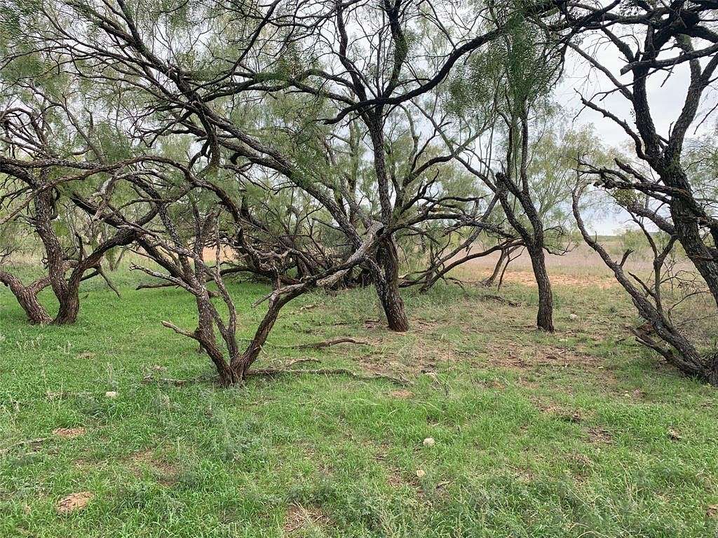 67 Acres of Land for Sale in Trent, Texas