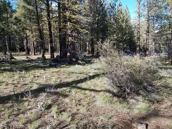 Residential Land for Sale in Alturas, California