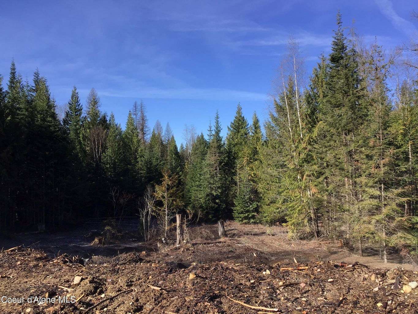 260 Acres of Land for Sale in Sandpoint, Idaho