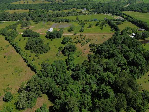 7.5 Acres of Recreational Land & Farm for Sale in Montgomery, Texas