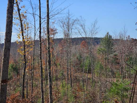 238 Acres of Land for Sale in Waterboro, Maine