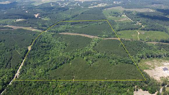 105 Acres of Recreational Land & Farm for Sale in Moselle, Mississippi