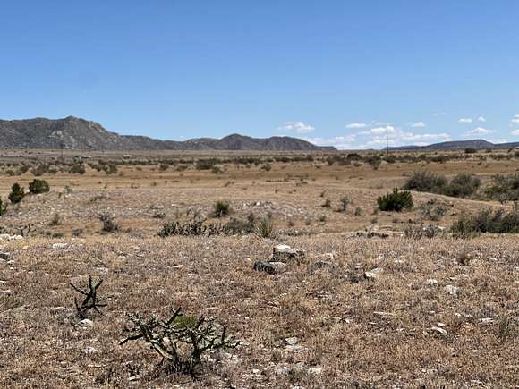 12.1 Acres of Agricultural Land for Sale in Belen, New Mexico