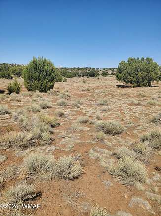 20 Acres of Land for Sale in St. Johns, Arizona