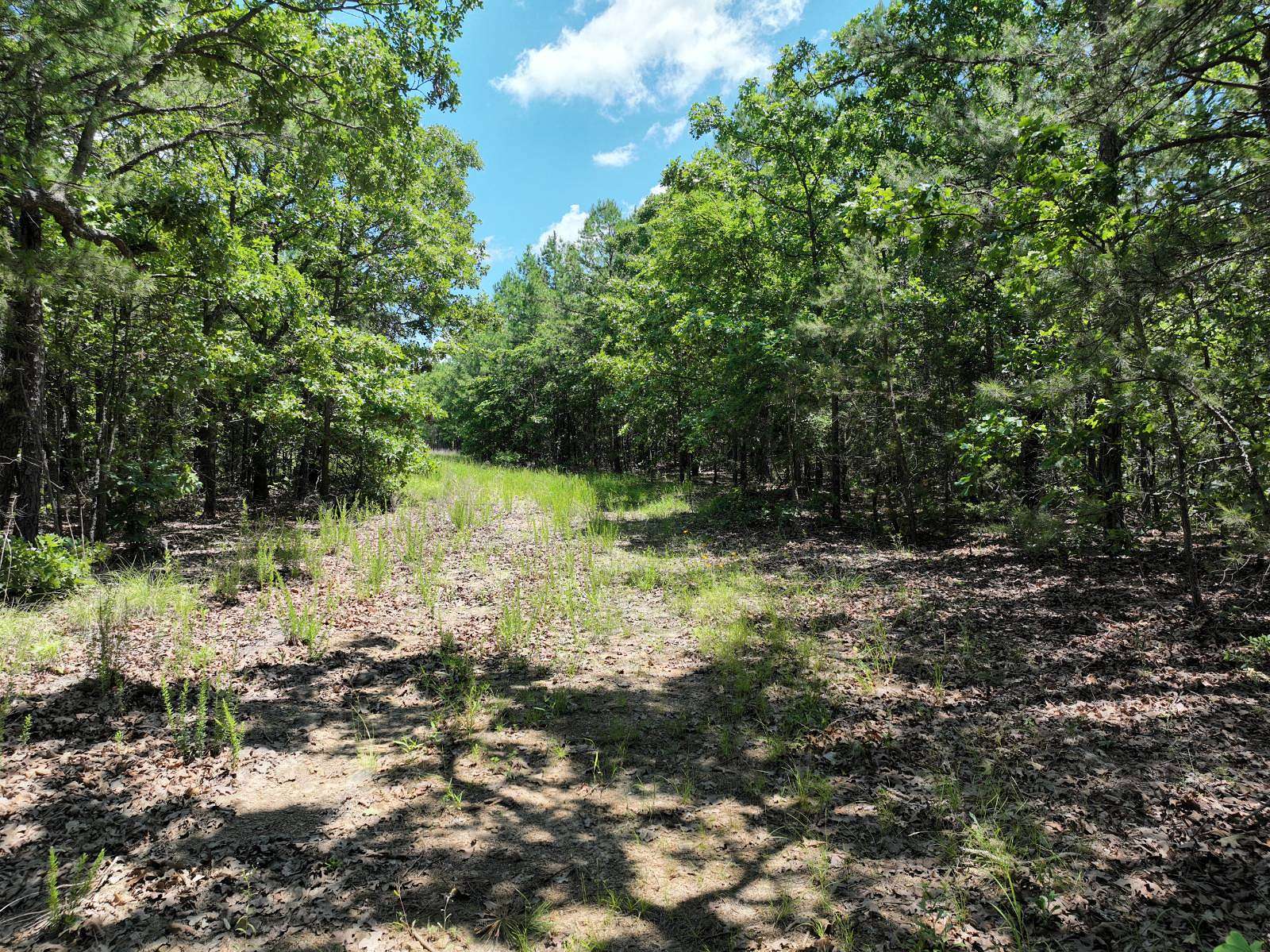17 Acres of Land for Sale in Wilburton, Oklahoma