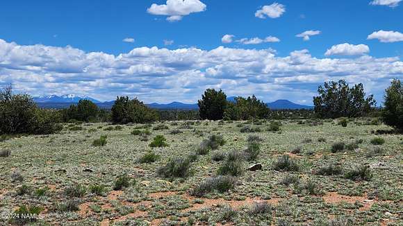 16 Acres of Recreational Land for Sale in Williams, Arizona