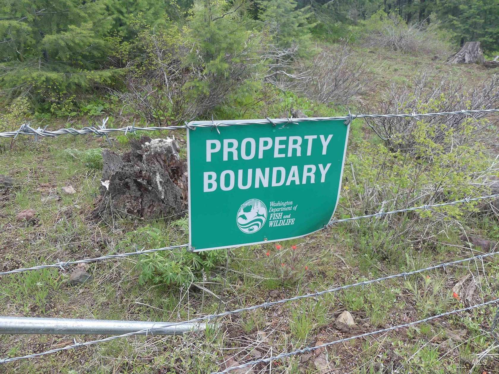 31.34 Acres of Recreational Land for Sale in Anatone, Washington