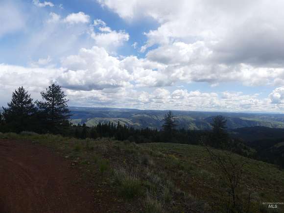 40 Acres of Recreational Land for Sale in Anatone, Washington