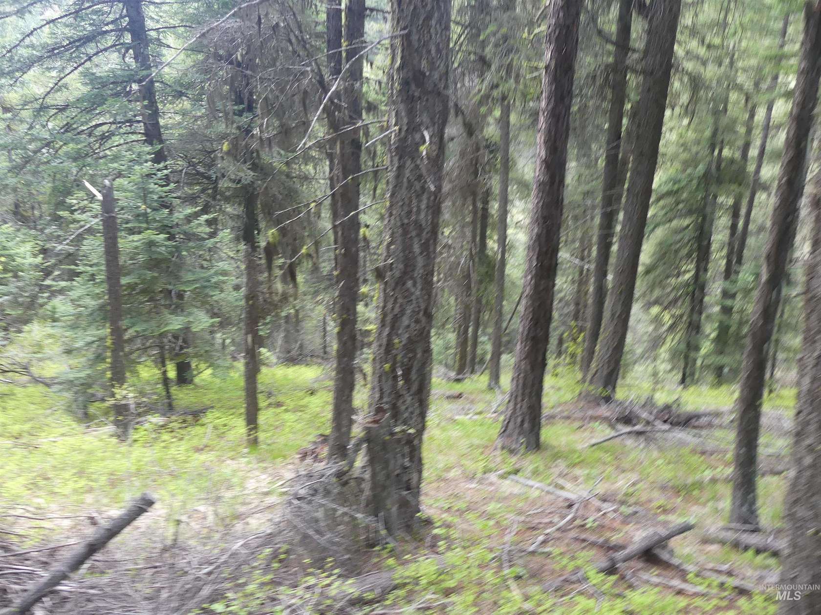 71.34 Acres of Recreational Land for Sale in Anatone, Washington