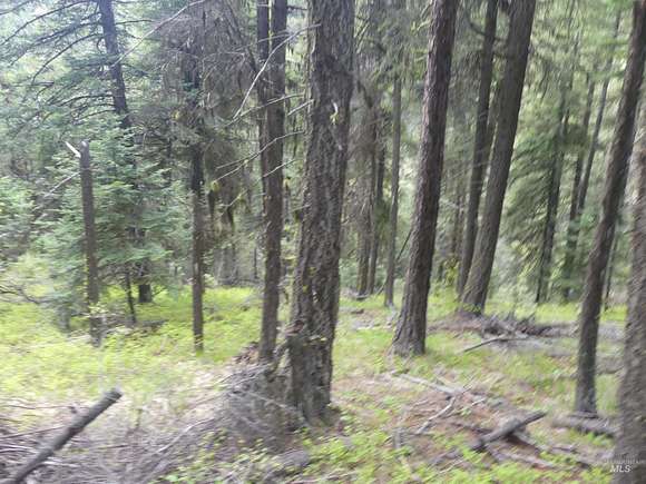 71.3 Acres of Recreational Land for Sale in Anatone, Washington