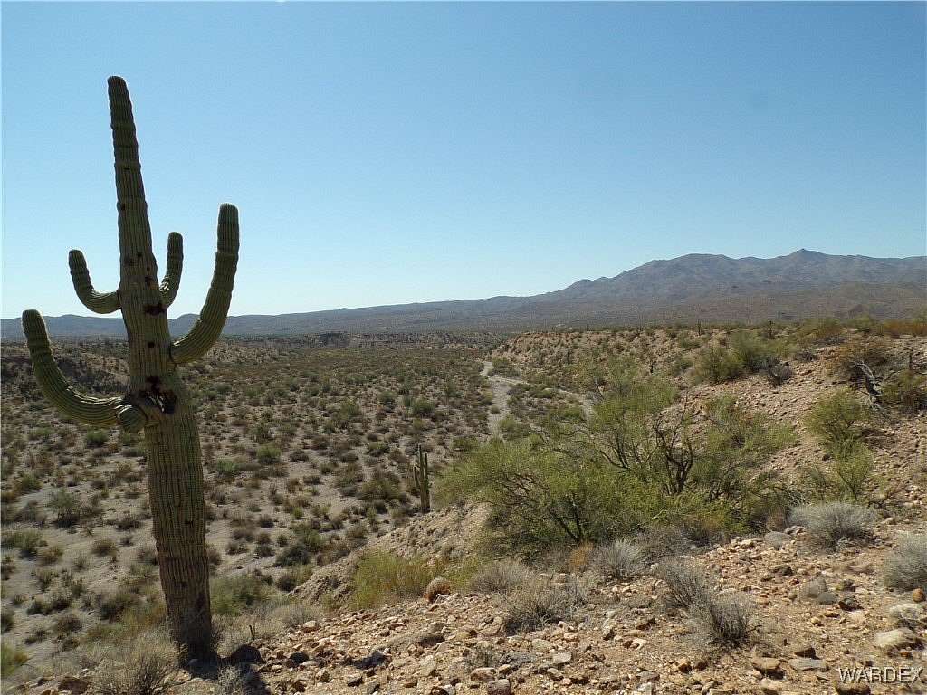 40 Acres of Recreational Land & Farm for Sale in Wikieup, Arizona