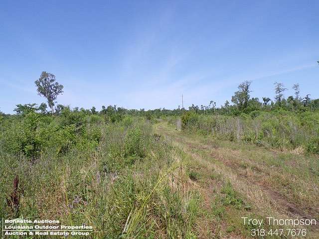 143 Acres of Recreational Land for Sale in Palmetto, Louisiana