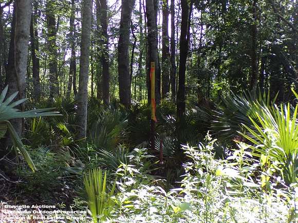 143 Acres of Recreational Land for Sale in Palmetto, Louisiana