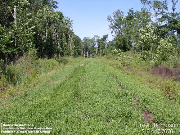 143 Acres of Recreational Land for Sale in Palmetto, Louisiana