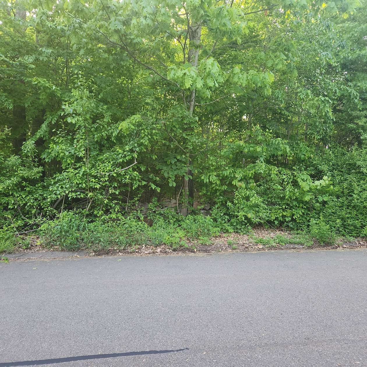 0.92 Acres of Residential Land for Sale in Hamden, Connecticut