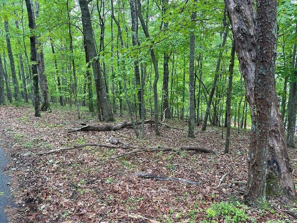 Residential Land for Sale in Murphy, North Carolina