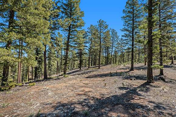 36.4 Acres of Land for Sale in Woodland Park, Colorado