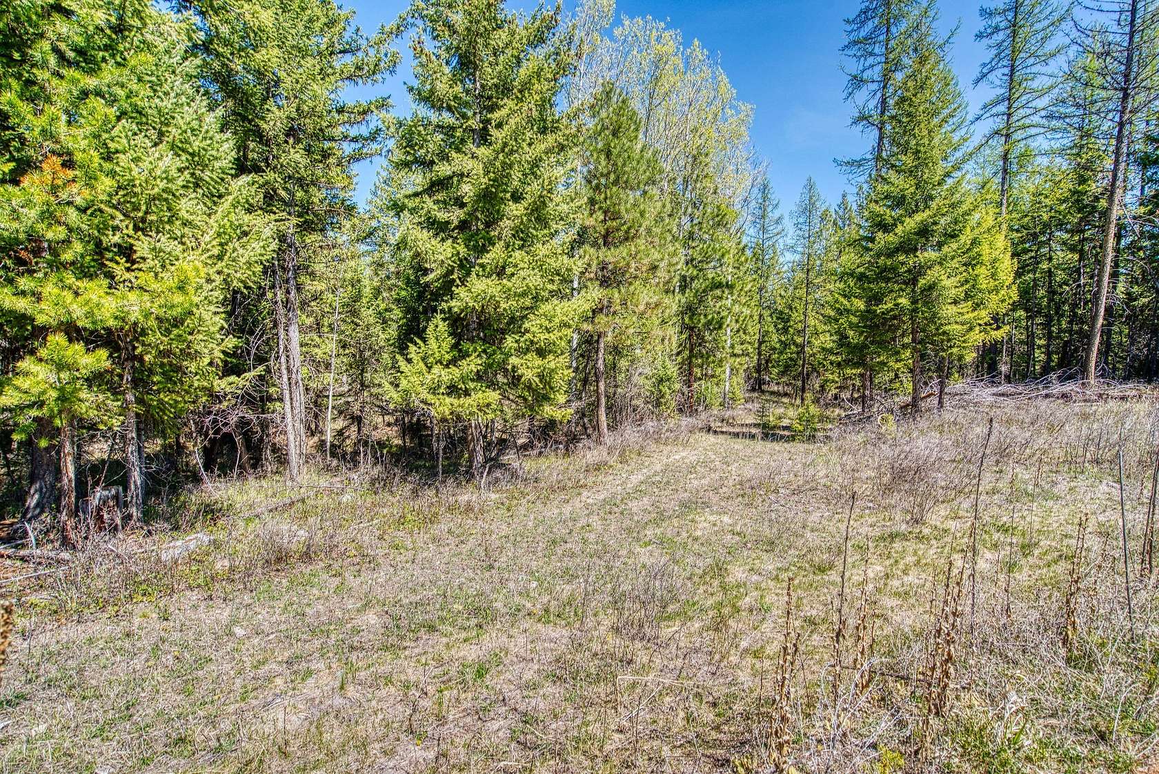 5.01 Acres of Residential Land for Sale in Kila, Montana