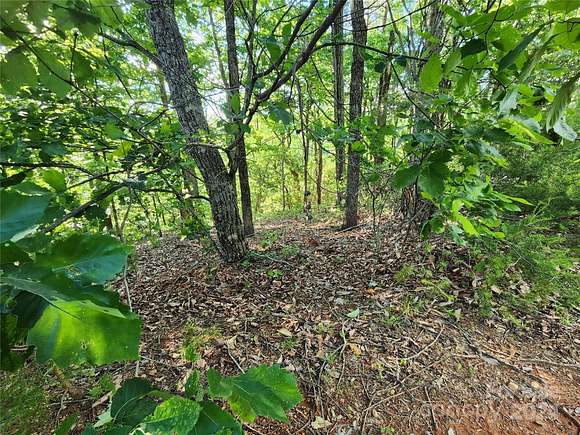 17.77 Acres of Recreational Land for Sale in Bostic, North Carolina